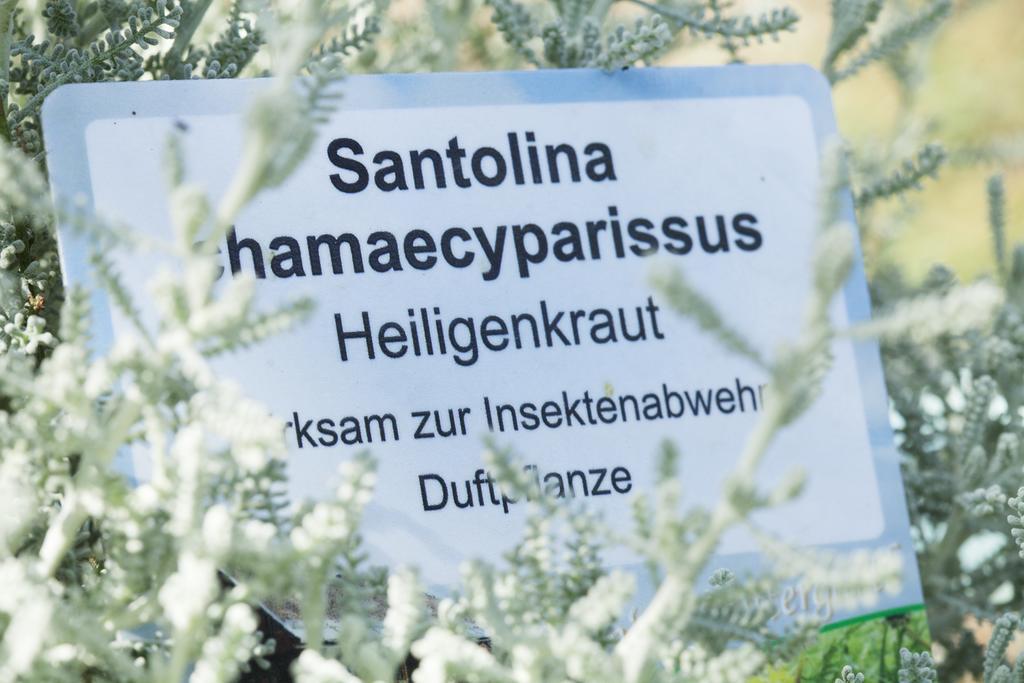 Kraeuterpension Rosenkranz Rangersdorf Dış mekan fotoğraf