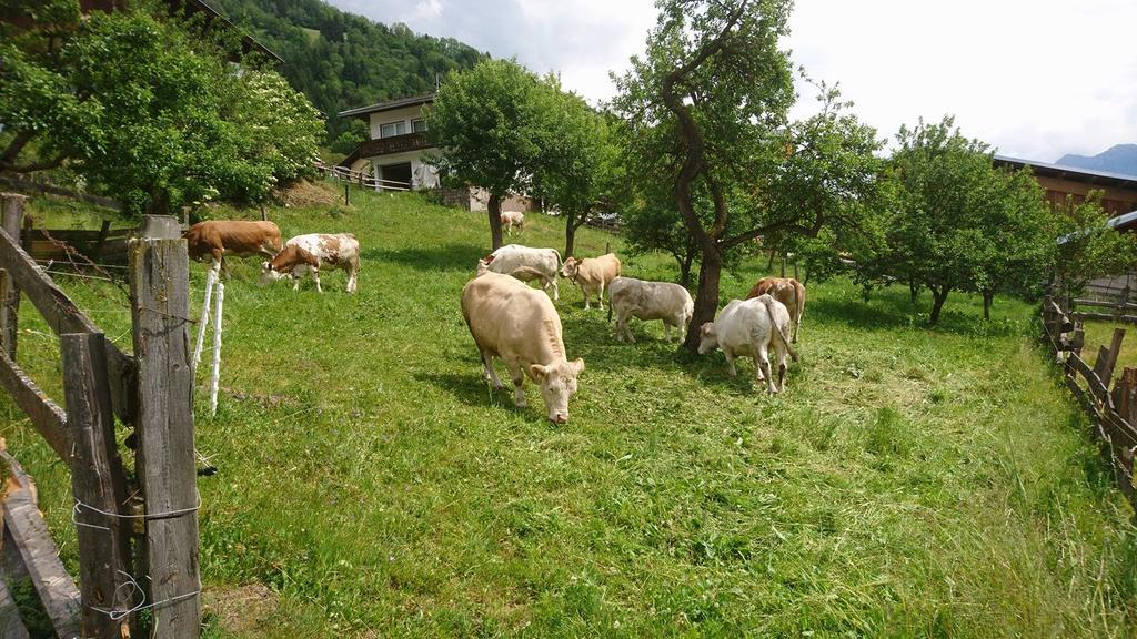 Kraeuterpension Rosenkranz Rangersdorf Dış mekan fotoğraf